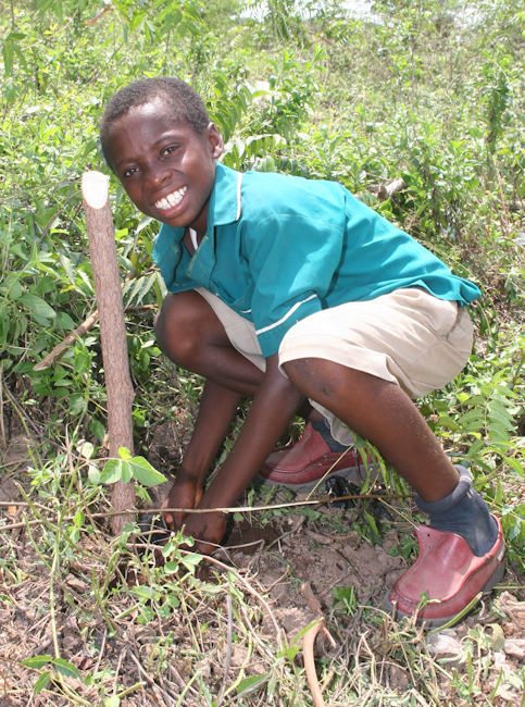 Tree planting in Ghana