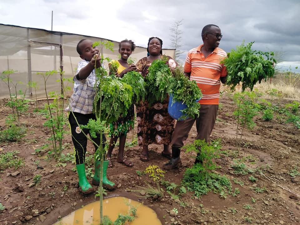 Planters at Marsabit