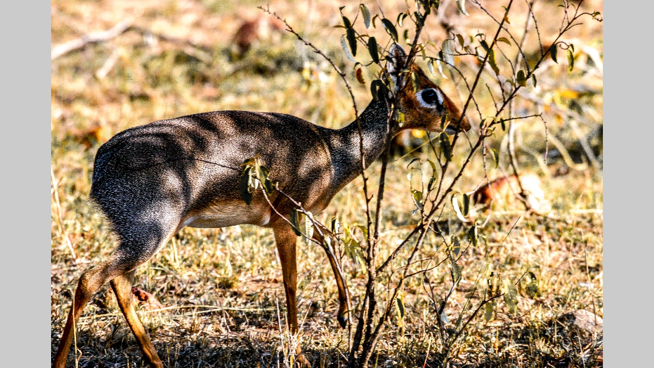 IMG_5009